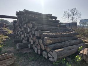 Tinsa wooden logs