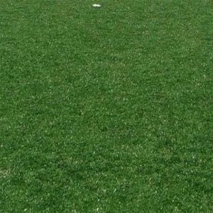 artificial grass