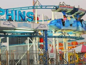 Miami Dolphins roller coaster