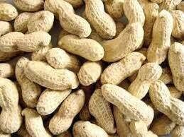 raw peanut kernel