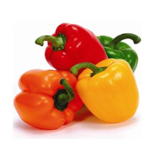 fresh capsicum