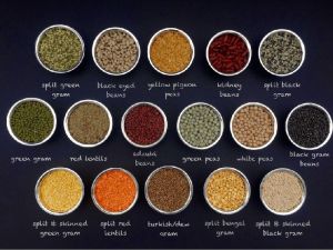 DAL/ Lentil