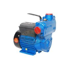 Stout Monoblock Pump