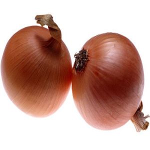 Dark Brown Onion