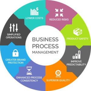 business process management services