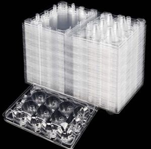 12 egg hold capacity quail egg plastic tray