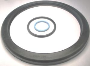 O Rings Support pad