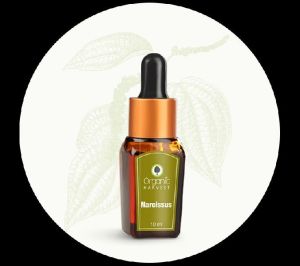 Organic Harvest Narcissus Oil