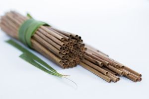 Coconut Palm Leaf Drinking Straws