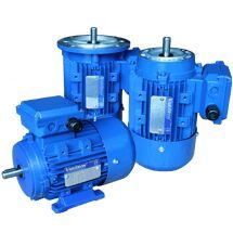 Three Phase Induction Motor