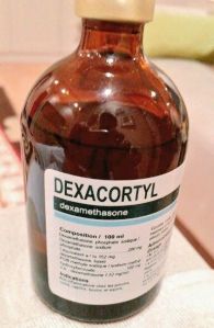 dexacortyl veterinary injection