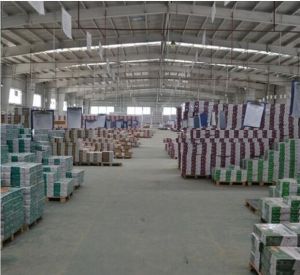 Paper & Paper Products