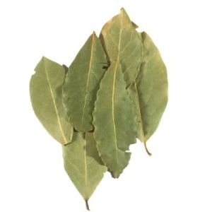 Pure Bay Leaf