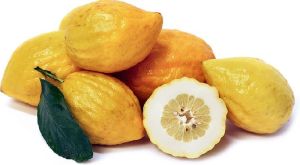 Fresh Citron Fruit