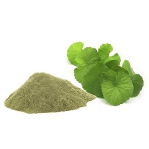 Bacopa Herb Powder