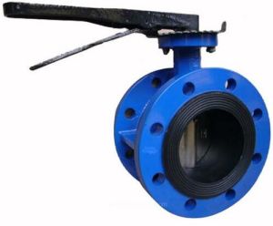 Double Flange Butterfly Valve