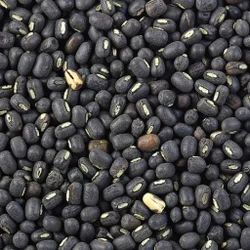 Black Matpe Beans