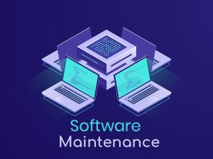 Software Maintenance & Support Services