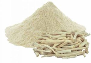 White Shatavari Powder