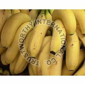 fresh banana