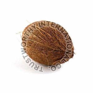 Fresh Brown Coconut