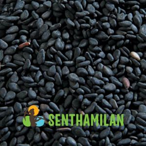 Sesame Seeds (Semi-black)