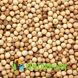 White Pepper (Unbleached)