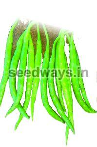 F1 Somya 120 Chilli Seeds