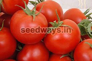 F1 Yuvraj Tomato Seeds