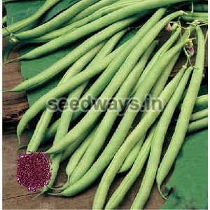 Research 66 Cluster Beans Seeds