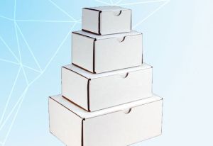 White Kraft Corrugated Box