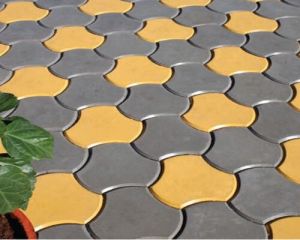 Interlocking Paver Block