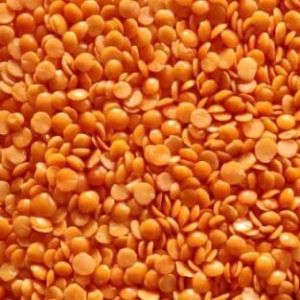 Red Lentils for export