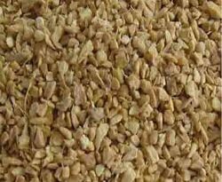 Dehydrated Ginger Granule