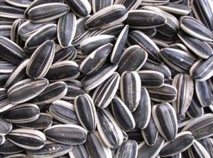 High Quality Wholesale Sunflower Seeds