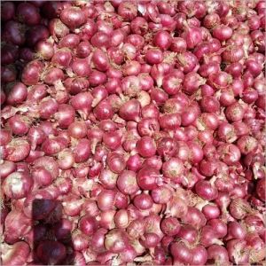 https://img1.exportersindia.com/product_images/bc-small/2023/9/7810330/fresh-red-onion-1610095874-5682049.jpg