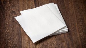 NAPKIN PLAIN 2 PLY