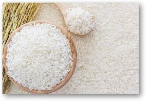 Wada Kolam Rice