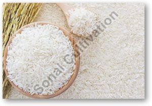 Wada Kolam Rice