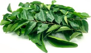 curry leaves