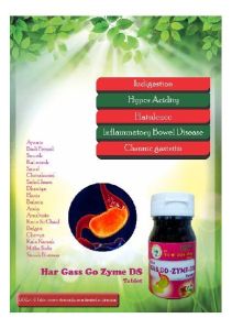Herbal Gas Go Zyme Ds Tablets