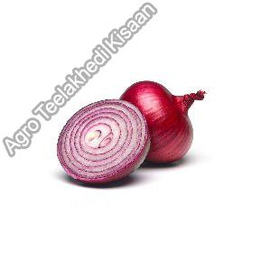 red onion