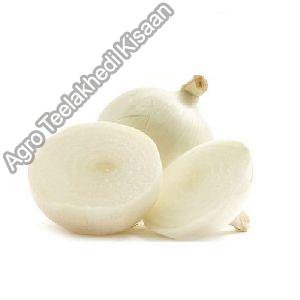 White Onion