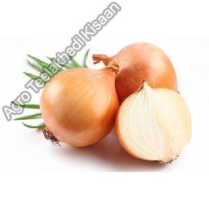 yellow onion