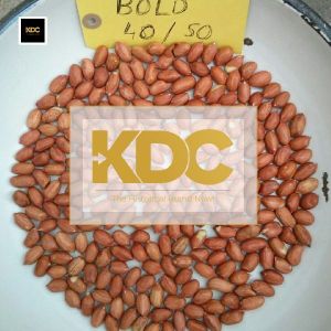 Bold Peanut 40/50