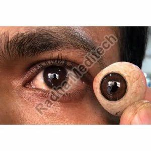 Acrylic Powder 3D Artificial Eye