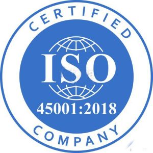 ISO 45001:2018 Consultancy