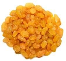 Golden Raisin