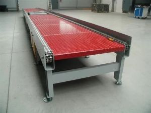 Flexible Chain Conveyor