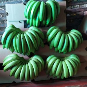 A Grade Fresh Robusta Banana, Packaging Size: Bunch